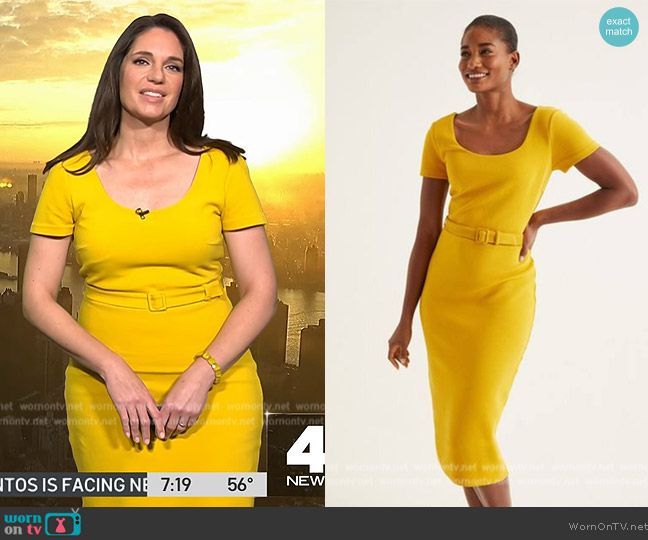 Boden Tilly Ottoman Dress worn by Maria Larosa on Today