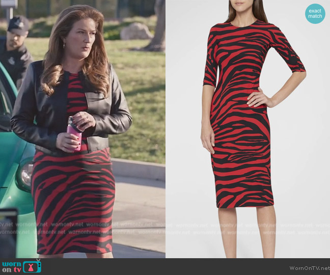 Dolce & Gabbana Zebra Printed Midi Dress worn by Katherine Hastings (Ana Gasteyer) on American Auto