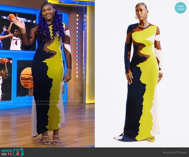 Hanifa Jax Knit Gown worn by Aliyah Boston on Good Morning America