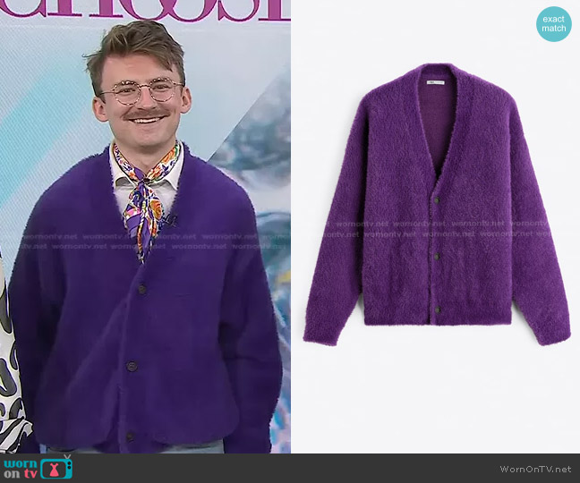 Zara Textured Cardigan with Three Buttons in Violet worn by Sean Hickey on Today
