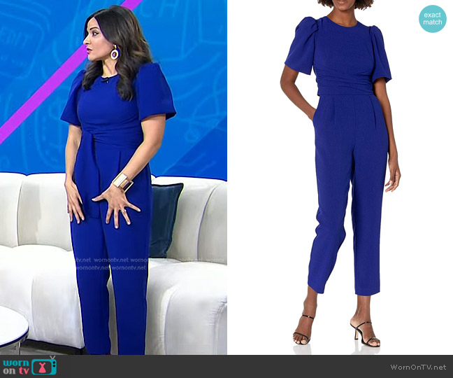 Eliza J Waist Tie Balloon Sleeve Jumpsuit worn by Selena Rezvani on Today