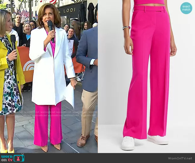 Express Editor Mid Rise Relaxed Trouser Pant in Neon Berry worn by Hoda Kotb on Today