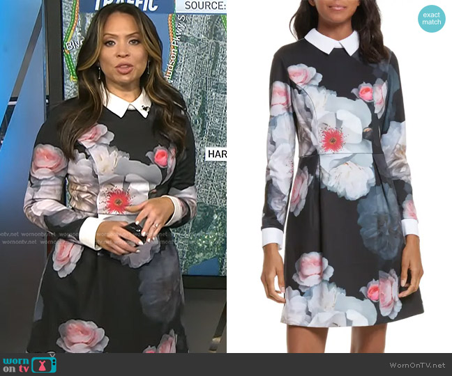 Ted Baker Kaleesa Chelsea Flower Collar Dress worn by Adelle Caballero on Today