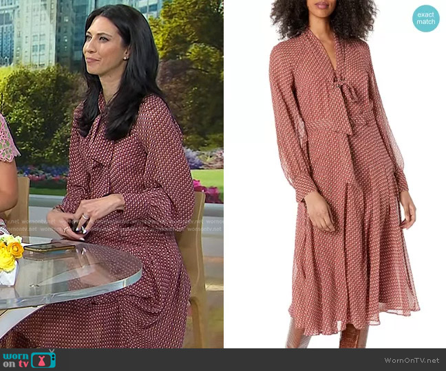 Equipment Pascale Dress in Rose Clay worn by Dr. Natalie Azar on Today