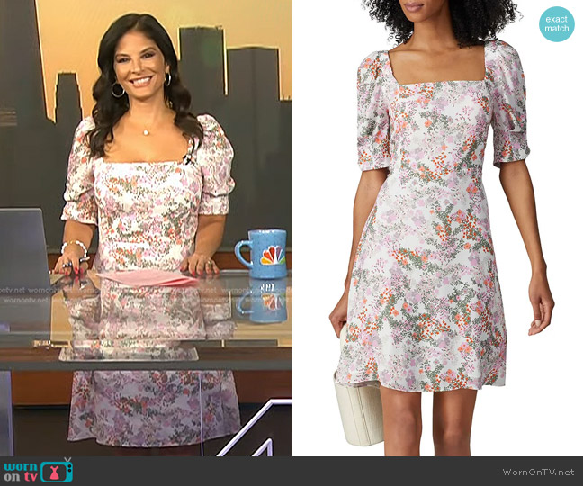 Rebecca Minkoff Randy Dress worn by Darlene Rodriguez on Today