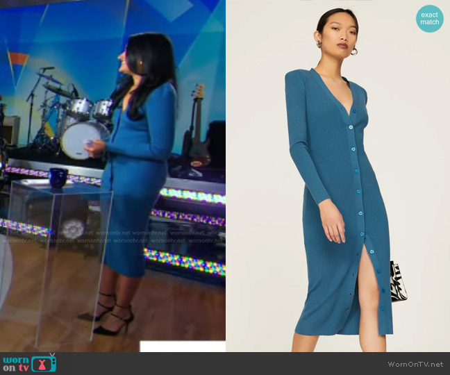 Ronny Kobo Collective Blue Knit Dress worn by Reena Roy on Good Morning America