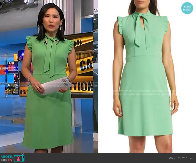 Maggy London Tie Neck Flutter Cap Sleeve A-Line Dress worn by Vicky Nguyen on NBC News Daily