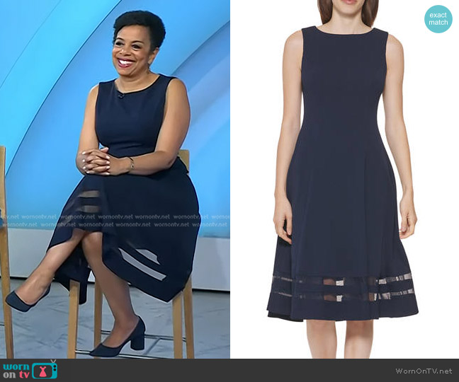 Calvin Klein Sleeveless Mesh Stripe Skirt Solid Fit and Flare Dress worn by Sharon Epperson on Today