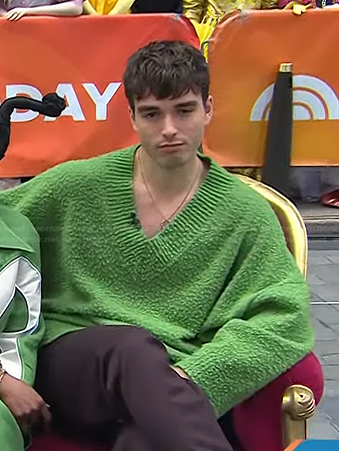 Corey Mylchreest’s green v-neck sweater on Today
