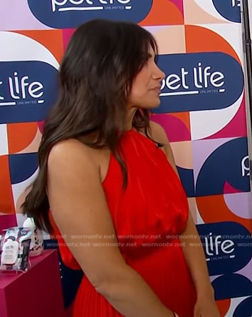 Joelle Garguilo’s red halter dress on E! News
