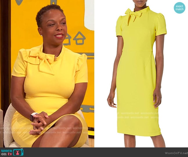 Maggy London Tie Neck Dress worn by Delana Wardlaw on The Drew Barrymore Show