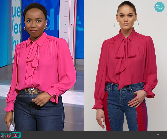 New York & Company Bow Neck Long Sleeve Blouse worn by Zinhle Essamuah on NBC News Daily