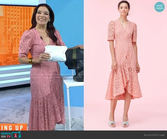 Rebecca Taylor Clover Embroidered Dress in Sienna worn by Amy E. Goodman on Today