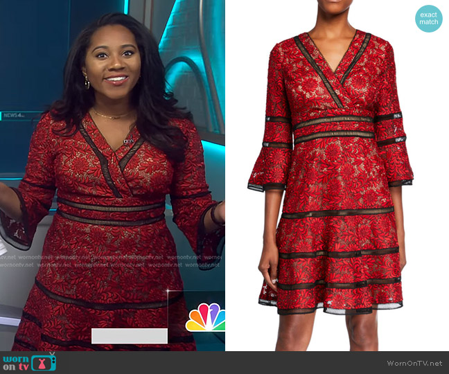 Shani Embroidered Lace Fit & Flare Cocktail Dress worn by Kay Angrum on NBC News Daily