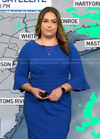 Violeta Yas’s blue bell sleeve sheath dress on NBC News Daily