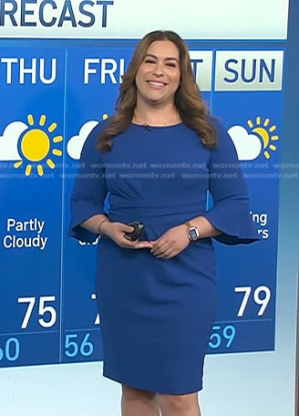 Violeta Yas’s blue bell sleeve sheath dress on NBC News Daily