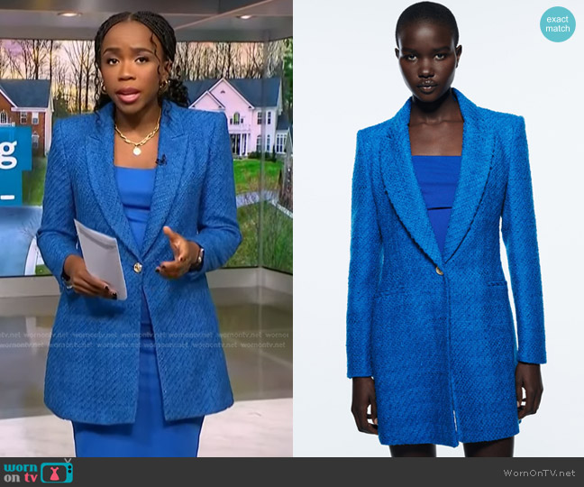 Zara Long Structured Blazer worn by Zinhle Essamuah on NBC News Daily