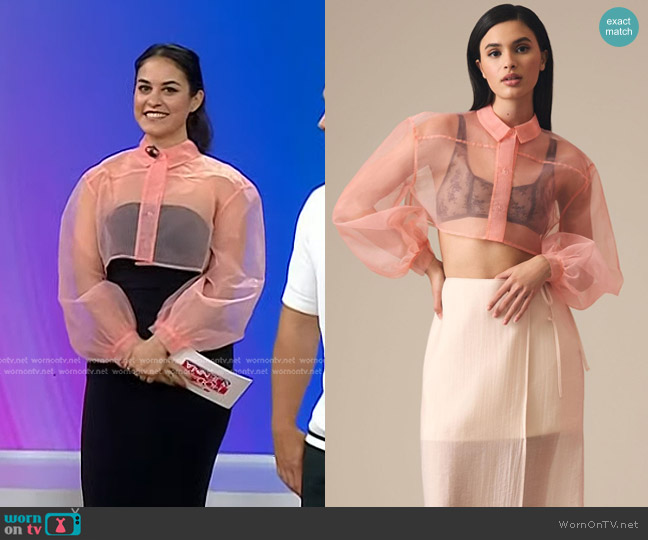 Anthropologie Sheer Crop Blouse in Pink worn by Donna Farizan on Today