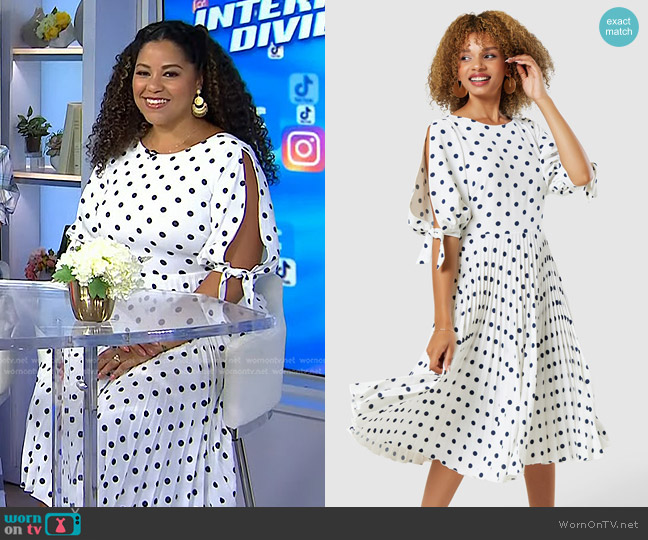 Closet London Split Sleeve Pleated A-Line Dress worn by Arianna Davis on Today