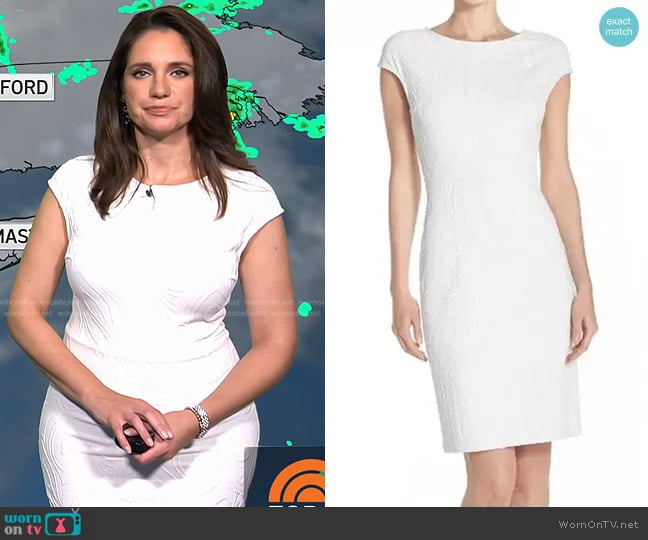 Julia Jordan Cap Sleeve Sheath Dress worn by Maria Larosa on Today