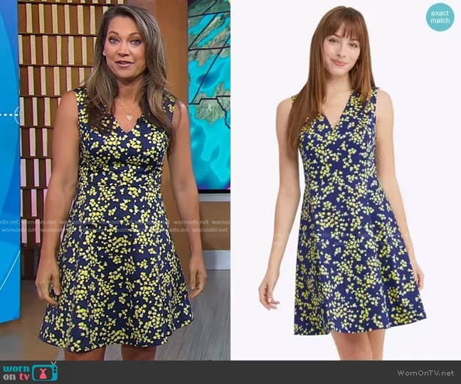 Draper James Love Circle Dress in Cherry Blossom worn by Ginger Zee on Good Morning America