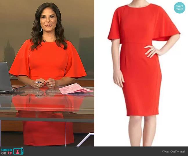 Tahari Kevin Flutter Sleeve Dress worn by Darlene Rodriguez on Today