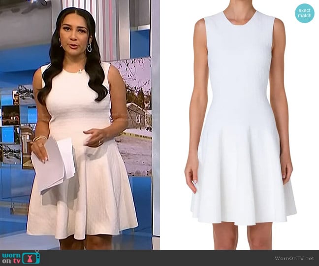 Akris Punto Dot Jacquard Sleeveless Dress worn by Morgan Radford on NBC News Daily