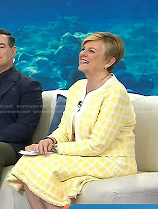 Anne Thompson’s yellow check teed jacket and dress on Today