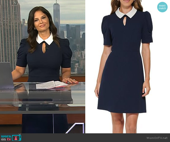 DKNY Puff Sleeve Collared Mini Dress worn by Darlene Rodriguez on Today