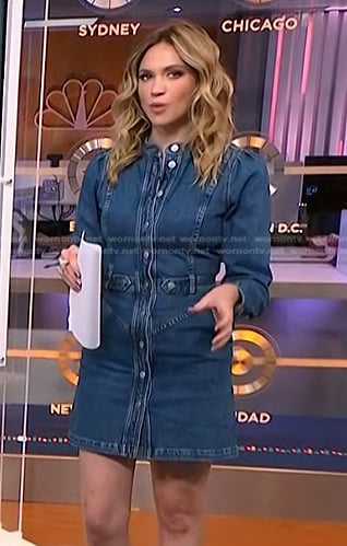 Ellison Barber’s denim dress on NBC News Daily