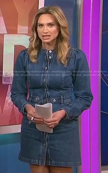 Ellison Barber’s denim dress on NBC News Daily