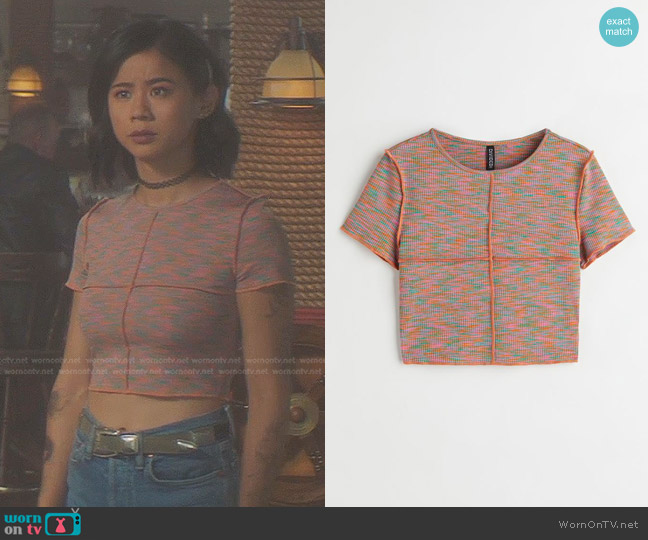 H&M Crop Top in Pink Patterned worn by George Fan (Leah Lewis) on Nancy Drew