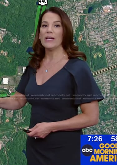 Heather’s navy flutter sleeve dress on Good Morning America
