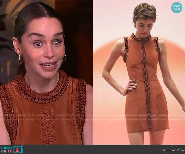 Hermes Ennobled Twill Thar Calf Dress worn by Emilia Clarke on Access Hollywood
