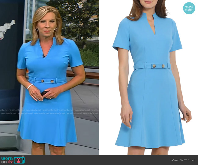 Maggy London Belted A-Line Dress worn by Jacqui Jeras on CBS Evening News