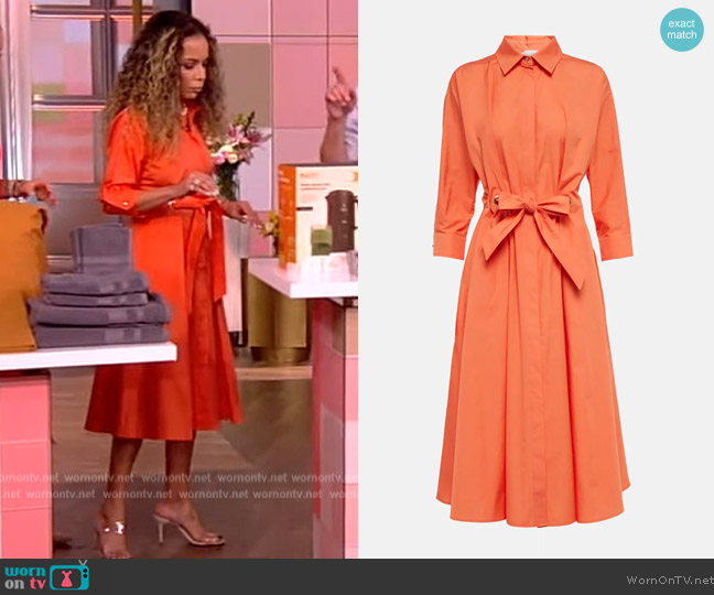 Max Mara Flavio Cotton Poplin Tie-Waist Shirtdress worn by Sunny Hostin on The View