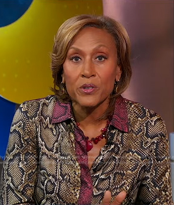 Robin’s snake print blouse on Good Morning America
