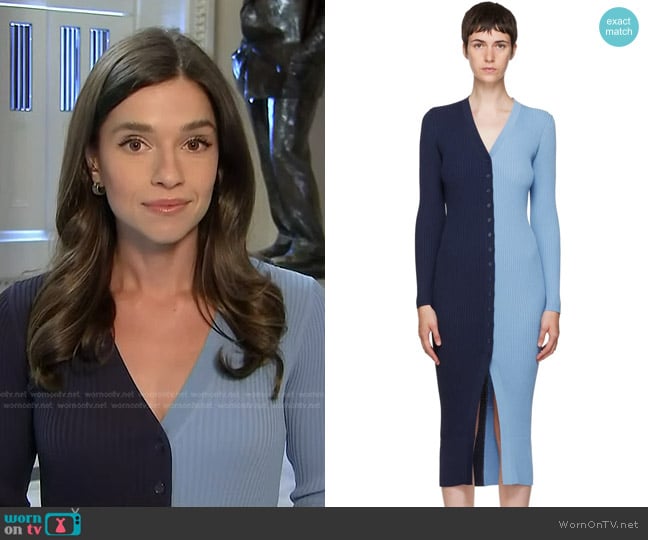 Staud Shoko Dress in Navy & Blue worn by Julie Tsirkin on NBC News Daily