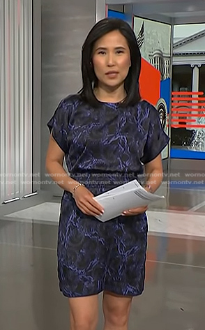 Vicky’s black and blue rope print dress on NBC News Daily