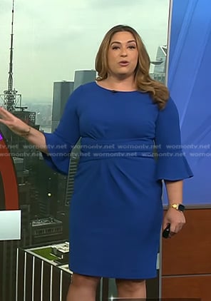 Violeta Yas’s blue bell sleeve sheath dress on NBC News Daily