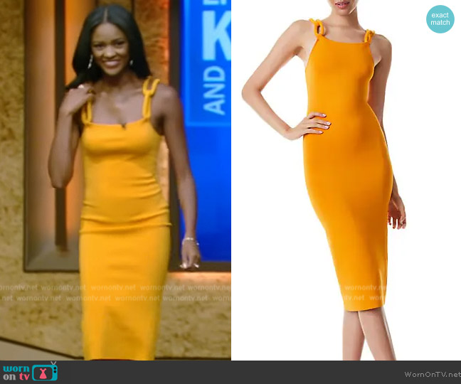 Alice + Olivia Alina Chain Strap Midi Tank Dress worn by Charity Lawson on Live with Kelly and Mark