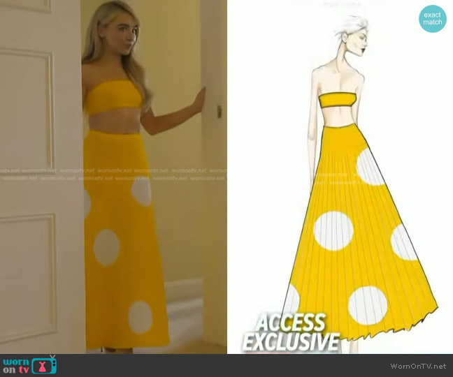 Wes Gordon by Carolina Herrera Custom Dress designed worn by Sabrina Carpenter on Access Hollywood