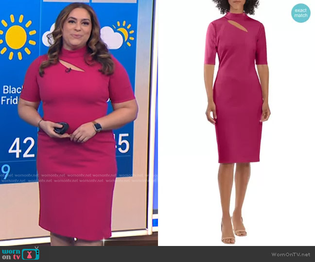Cutout Elbow Sleeve Sheath Dress in Cherries Jubilee Maggy London worn by Violeta Yas on NBC News Daily