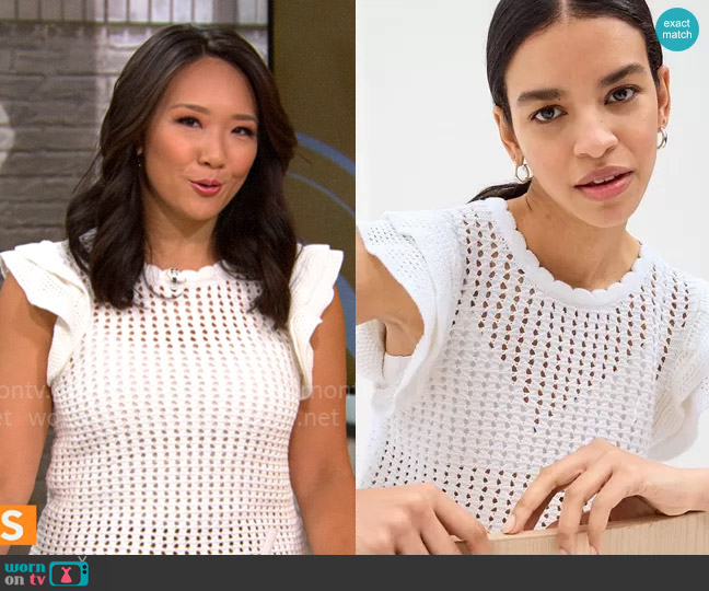 GAP Flutter Sleeve Crochet Sweater worn by Nancy Chen on CBS Mornings