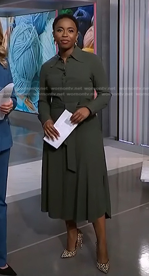 Zinhle Essamuah’s green tie waist shirtdress on NBC News