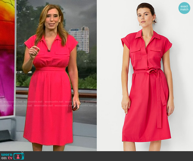 Ann Taylor Cap Sleeve Pocket Shirtdress in Jazzy Pink worn by Stephanie Abrams on CBS Mornings