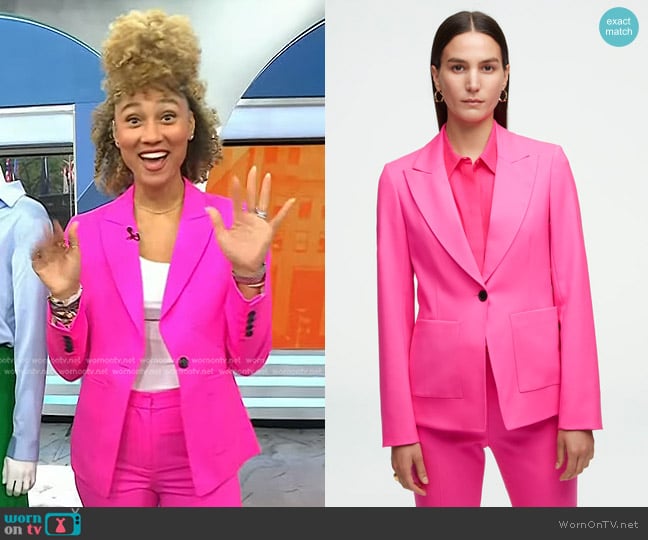 Argent Supermajority Blazer worn by Ally Love on Today