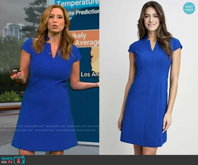 Elie Tahari Cap Sleeve A-line Dress worn by Stephanie Abrams on CBS Mornings