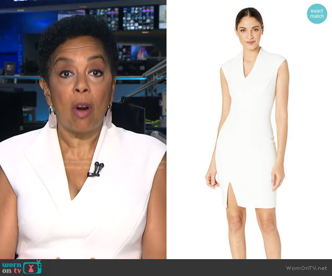 Ted Baker Geodese Narnia Dress worn by Sharon Epperson on NBC News Daily