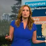 Stephanie Abrams’s blue v-neck a-line dress on CBS Mornings
